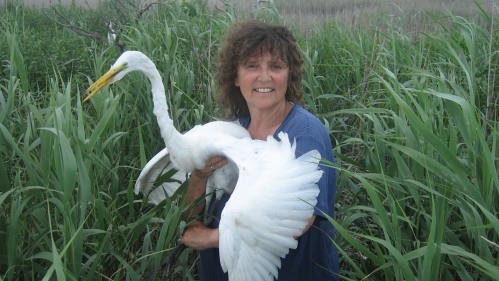Professor Joanna Burger and Egret