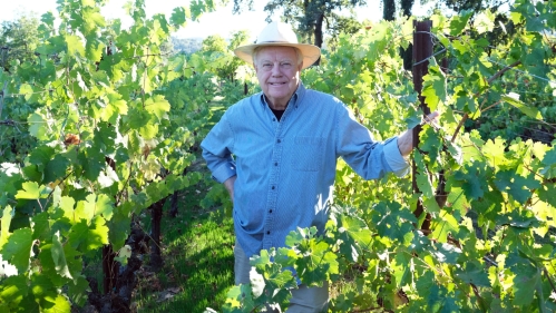 moran in vineyard HERO 2880X1620