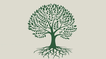 Branching Out