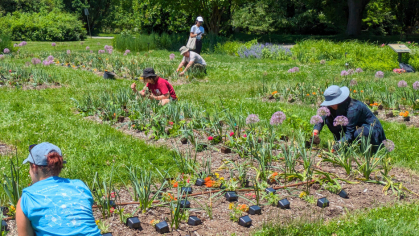 Rutgers Gardens