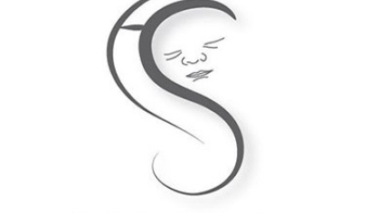 Hudson Shea Foundation logo