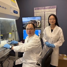 Researchers collaborate on asthma research in the Borrus Lab at the institute. Photo by Allison Freeman.